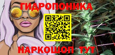 сатива Лесосибирск