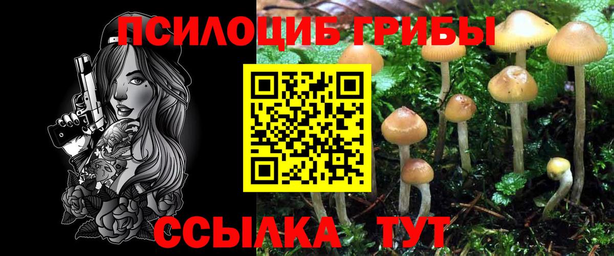 Елабуга  Галлюциногенные грибы GOLDEN TEACHER  Вход с VPN 